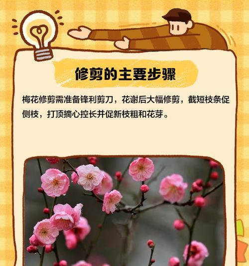 萼距花修剪的最佳时机是什么时候？