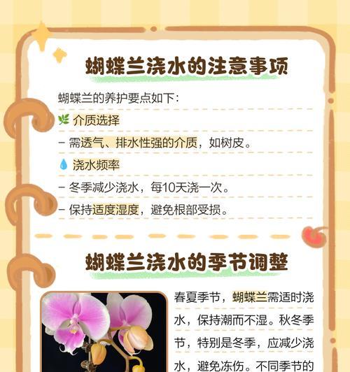 夏季蝴蝶兰浇水频率是多少？