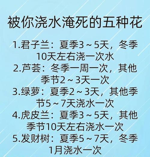 香木浇水的正确频率和技巧是什么？