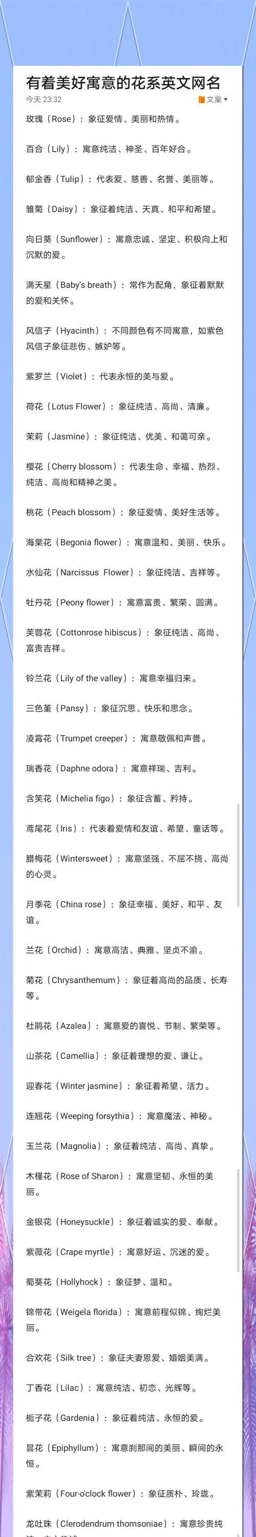 千手观音分株的正确步骤是什么？