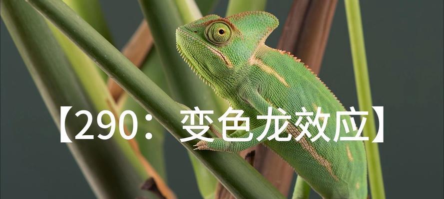 植物变色龙的养护技巧和常见问题？