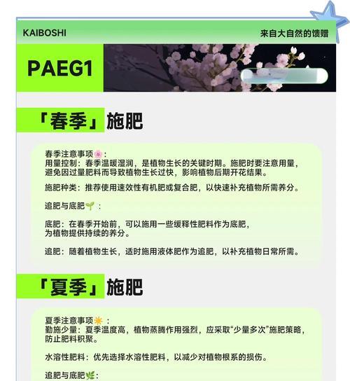 盆栽植物施肥应该选择哪种肥料？