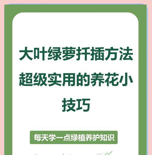 绿萝修剪的正确方法是什么？