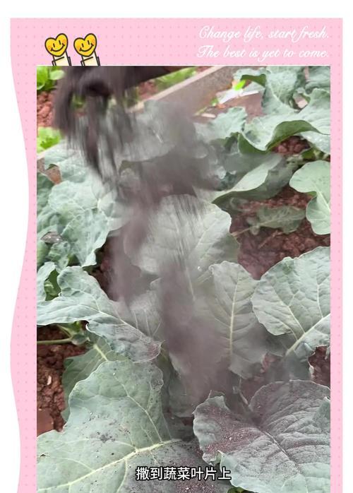 哪些花卉种植时需要使用草木灰？