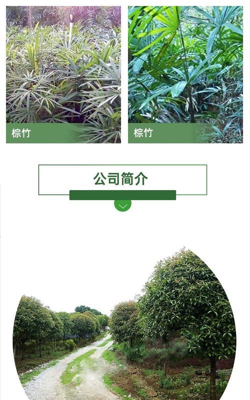 花木品种名称大全？如何正确识别花木品种？