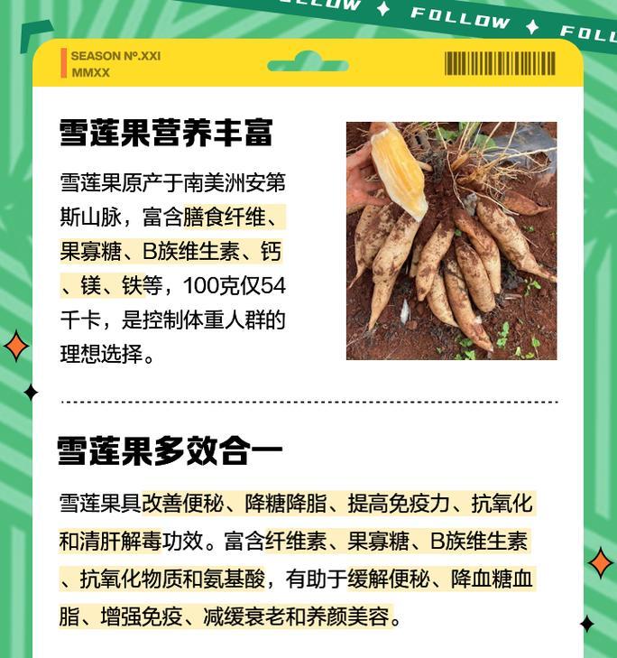雪莲果怎么种植方法？种植雪莲果的步骤和注意事项是什么？