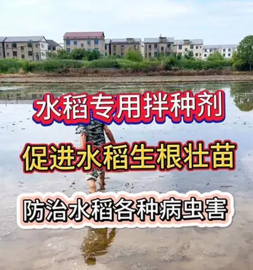 地下作物催芽剂使用方法是什么？使用过程中常见问题有哪些？