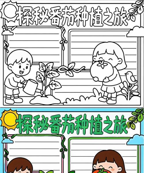 西红柿怎么种植方法？从播种到收获的全过程指南？