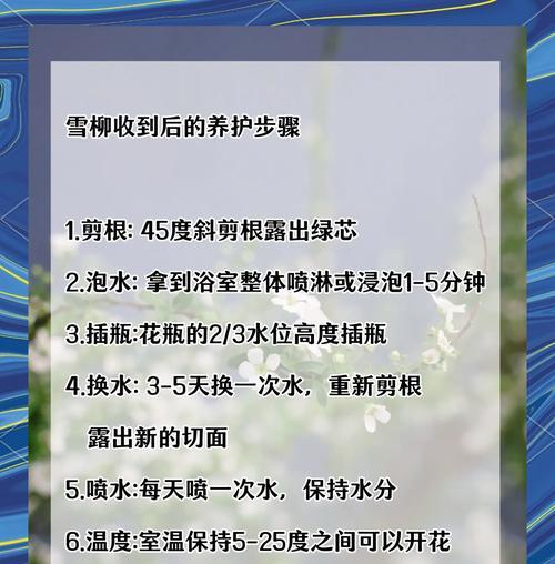 冬季修剪枝条的正确方法是什么？修剪后如何促进植物恢复生长？