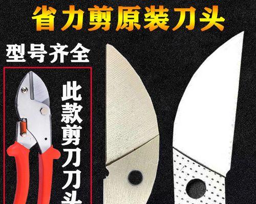 树修剪枝条怎么修剪的？修剪的最佳时间和方法是什么？