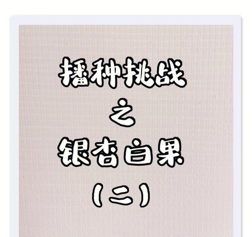 小银杏怎么种植？种植方法有哪些常见问题？
