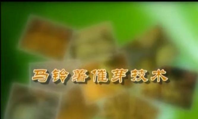 土豆装筐催芽怎么做？步骤和注意事项是什么？
