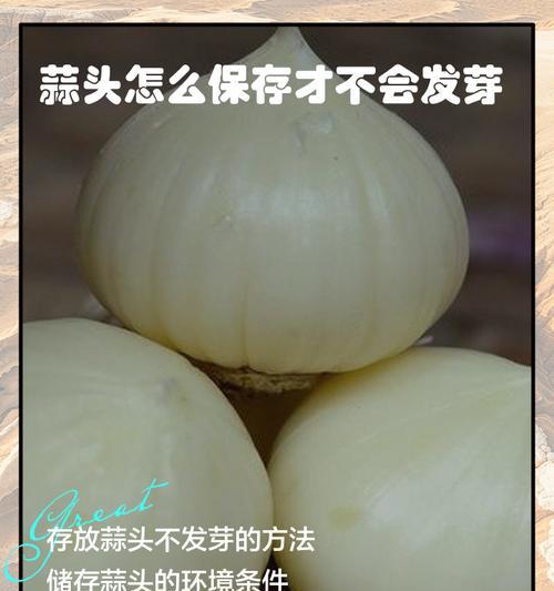 鲜大蒜催芽最快的方法是什么？