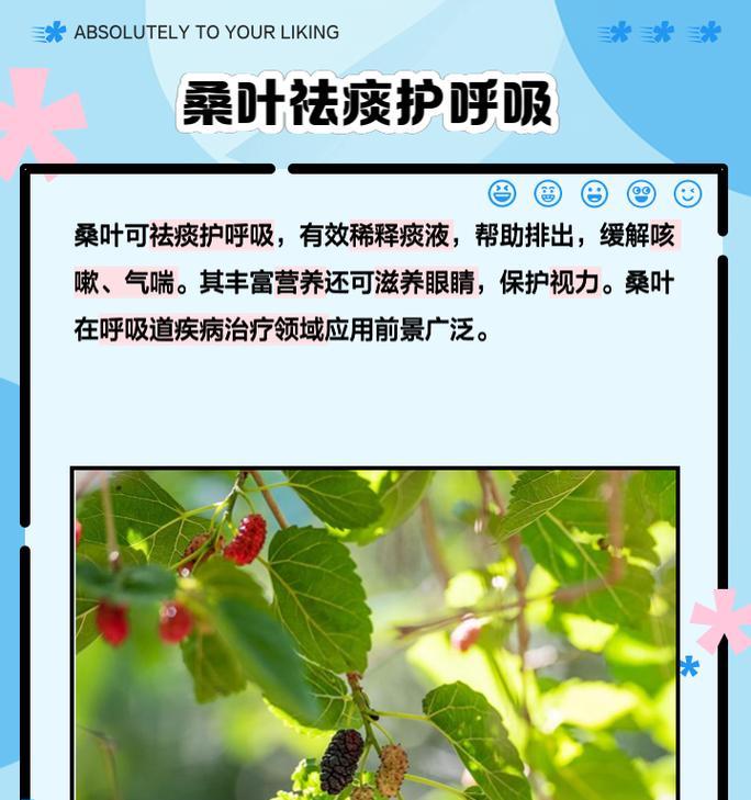桑葚枝叶修剪技巧有哪些？如何正确修剪桑葚枝条？