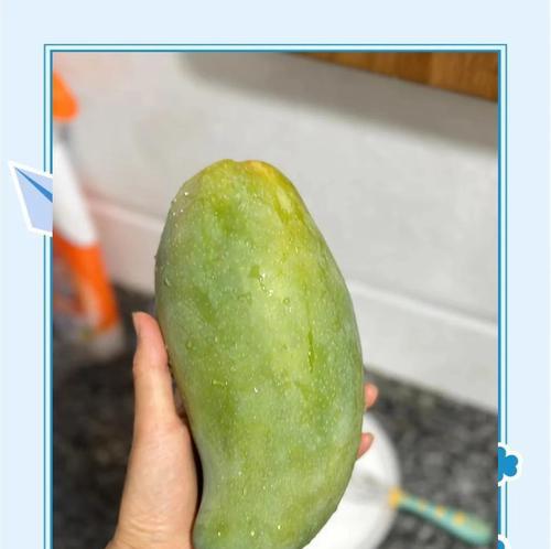 芒果催芽技巧有哪些？如何快速让芒果种子发芽？