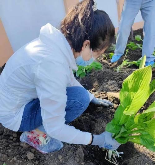 怎么给花种催芽的方法？有哪些有效技巧？