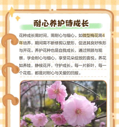 怎么给花种催芽的方法？有哪些有效技巧？