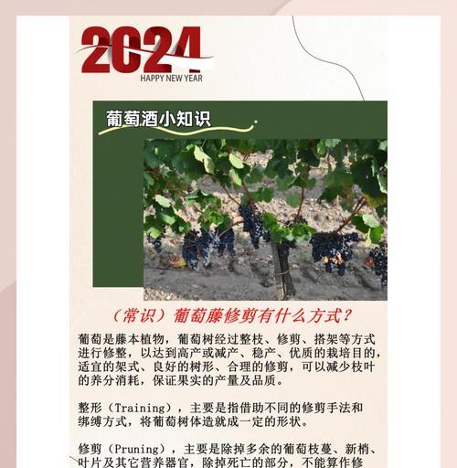 葡萄修剪枝桠的最佳时机是什么时候？修剪后如何管理？