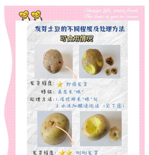 土豆种没发芽怎么催芽？有效催芽方法有哪些？