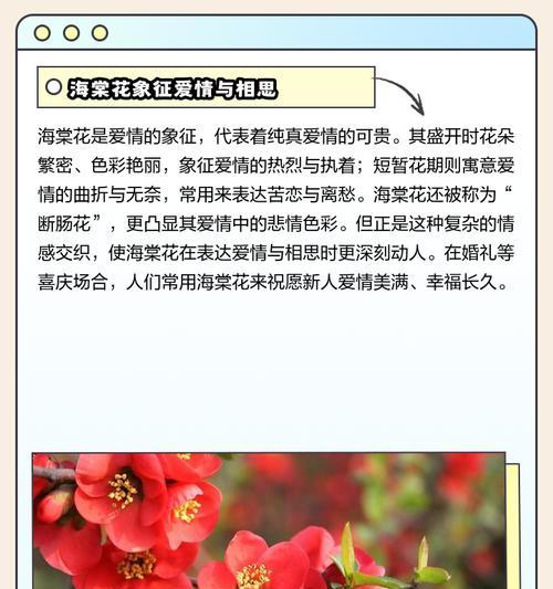 104朵花代表什么含义？花语解释及常见问题解答？