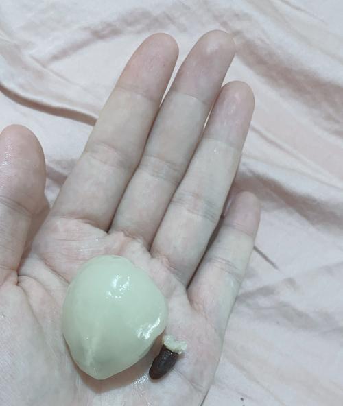小甜瓜催芽后如何正确种植？种植过程中应注意哪些问题？