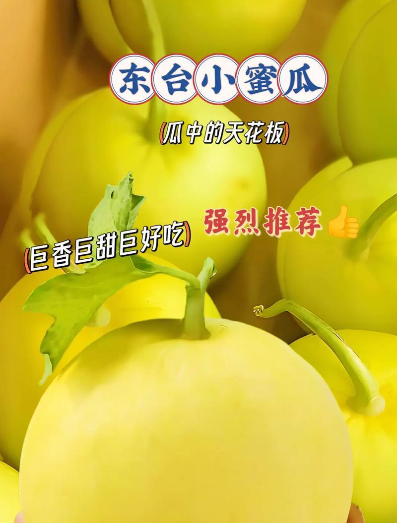 小甜瓜催芽后如何正确种植？种植过程中应注意哪些问题？