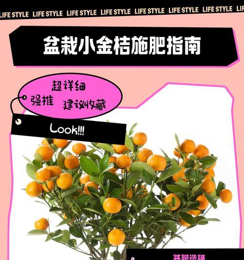花盆橘子修剪枝条的最佳时机是什么时候？如何正确修剪？