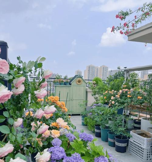 露台藤花怎么种植方法？有哪些步骤和注意事项？