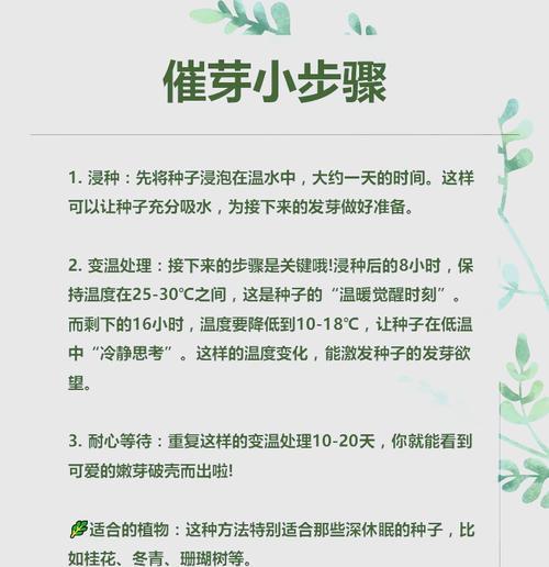 花卉种子催芽方法是什么？步骤和注意事项有哪些？