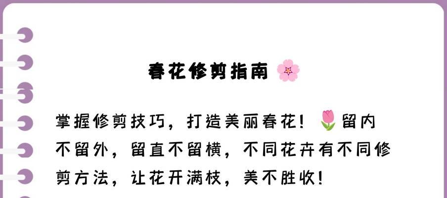 给春花修剪枝条的方法是什么？修剪后如何促进花朵生长？