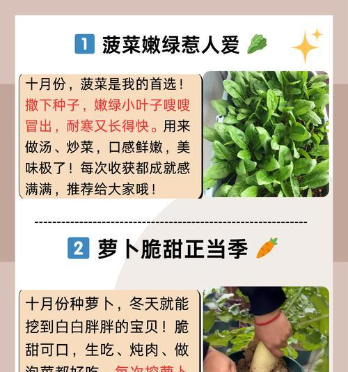 老菜催芽最快的方法是什么？