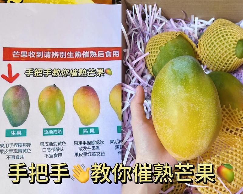 芒果催芽栽种方法是什么？如何提高催芽成功率？