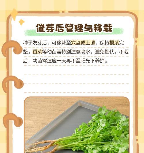 葡萄种子怎么催芽？有效催芽方法有哪些？