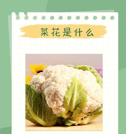 怎么催芽种花菜的方法？步骤和注意事项是什么？