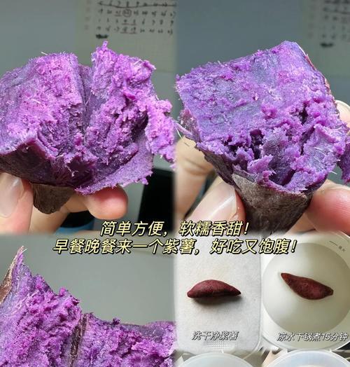 紫薯种植方法有哪些？如何提高紫薯产量？