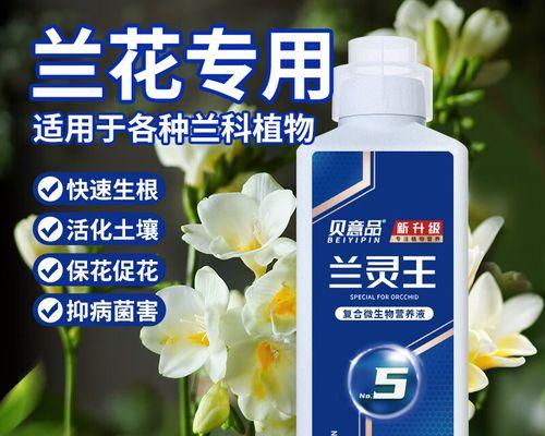 君子兰的催芽剂使用方法是什么?使用过程中应注意哪些问题?