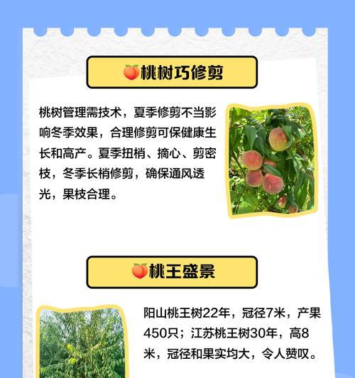 桃子树夏季修剪怎么剪枝？修剪的最佳时间和方法是什么？