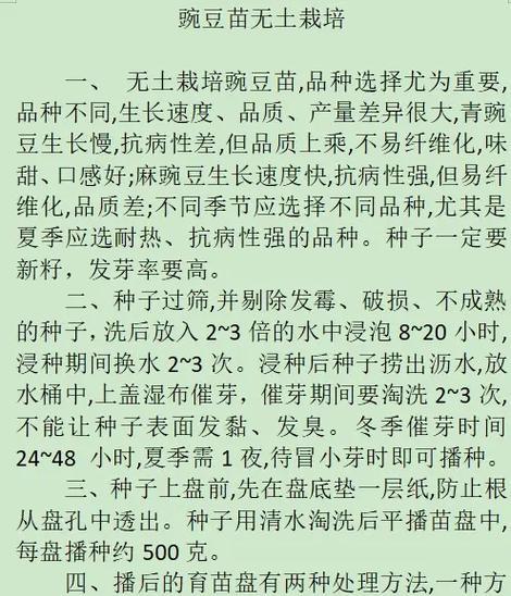 豌豆怎么种植方法？初学者指南和常见问题解答？