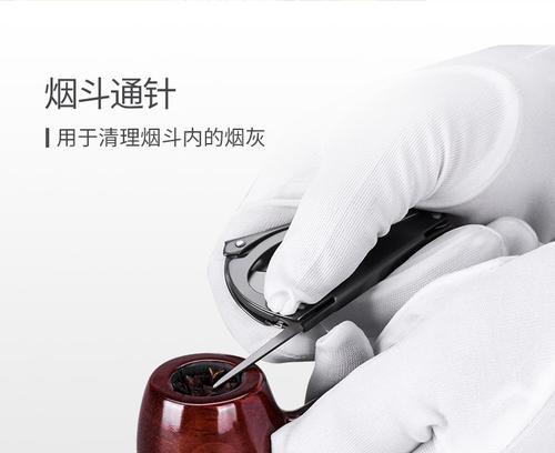 蓝雪茄修剪枝条的最佳时机是什么时候？修剪后如何护理？