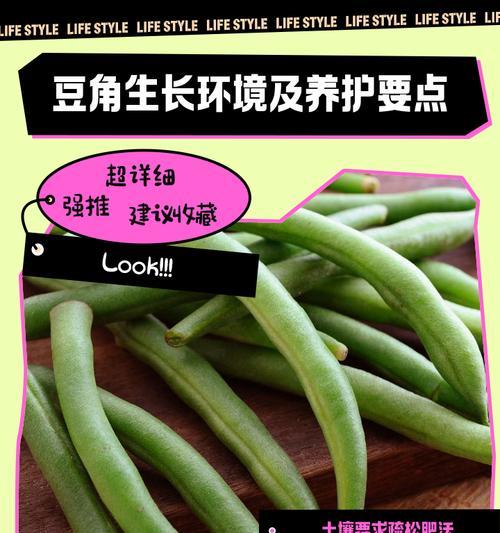 豆角催芽方法是什么？需要多长时间才能发芽？