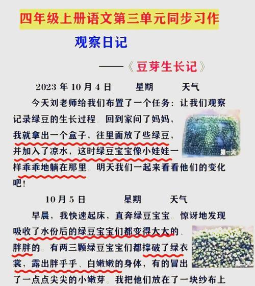 种豆角催芽怎么催？有效催芽方法有哪些？