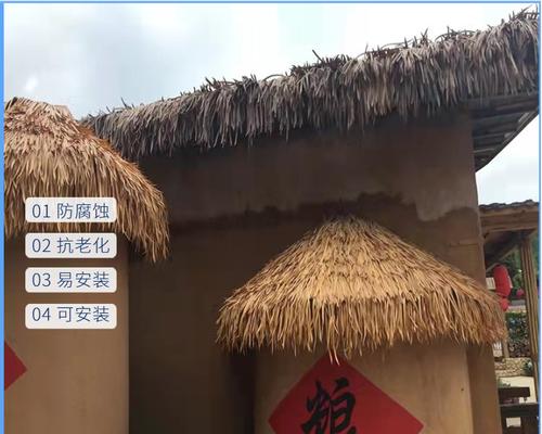 屋檐草种植方法是什么？如何正确种植屋檐草？