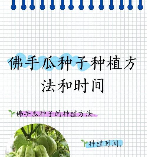 小沙瓜怎么种植方法？从播种到收获的全过程解析？