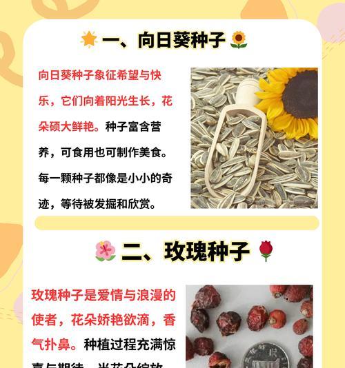 种花撒籽的方法怎么种植？步骤和注意事项是什么？