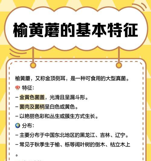 玉黄蘑菌种植方法是什么？如何确保种植成功？