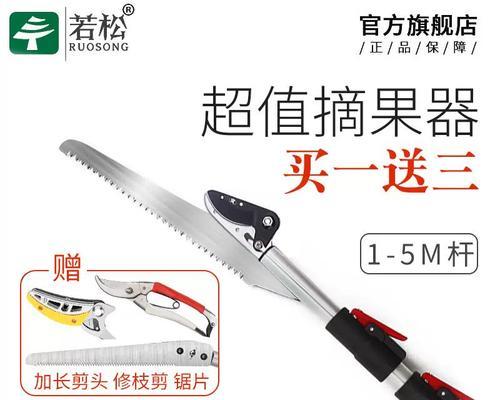 修剪枝条龙眼的最佳方法是什么？修剪后如何促进果实生长？
