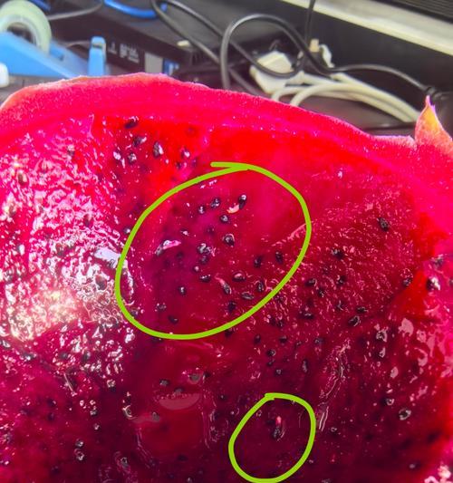 火龙果籽催芽方法是什么？需要多长时间才能发芽？