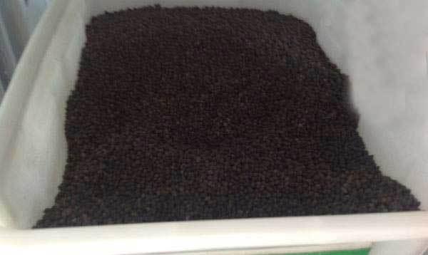 白色茉莉种子催芽方法是什么？需要多长时间才能发芽？