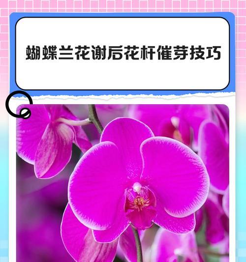 甜杆杆催芽方法是什么？需要多长时间才能发芽？