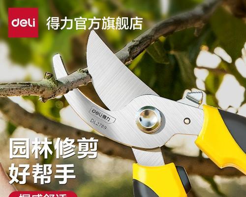 种树修剪枝丫怎么修剪好？修剪的最佳时机和方法是什么？